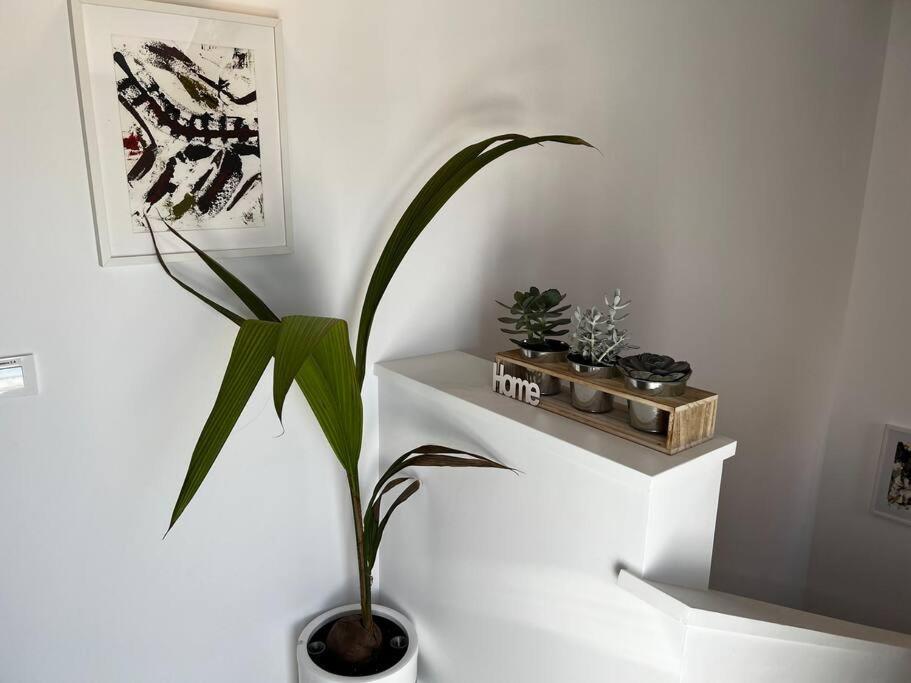 2B-Precioso Apartamento En Pleno Centro. A Estreno 알카자드샌우안 외부 사진